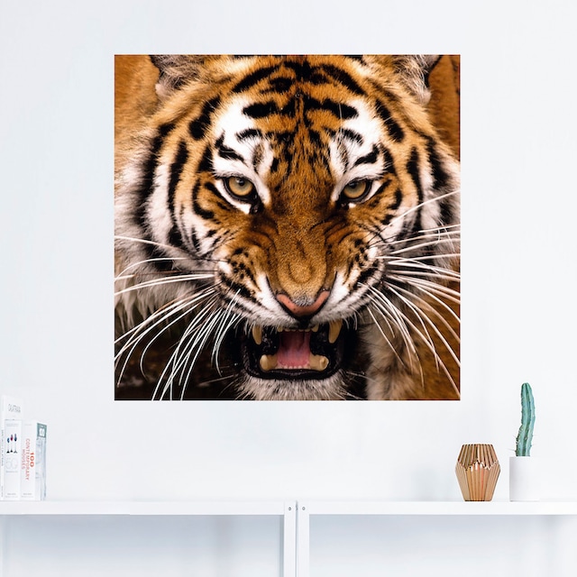 Artland Wandbild »Tiger Kopf«, Wildtiere, (1 St.), als Alubild,  Leinwandbild, Wandaufkleber oder Poster in versch. Grössen