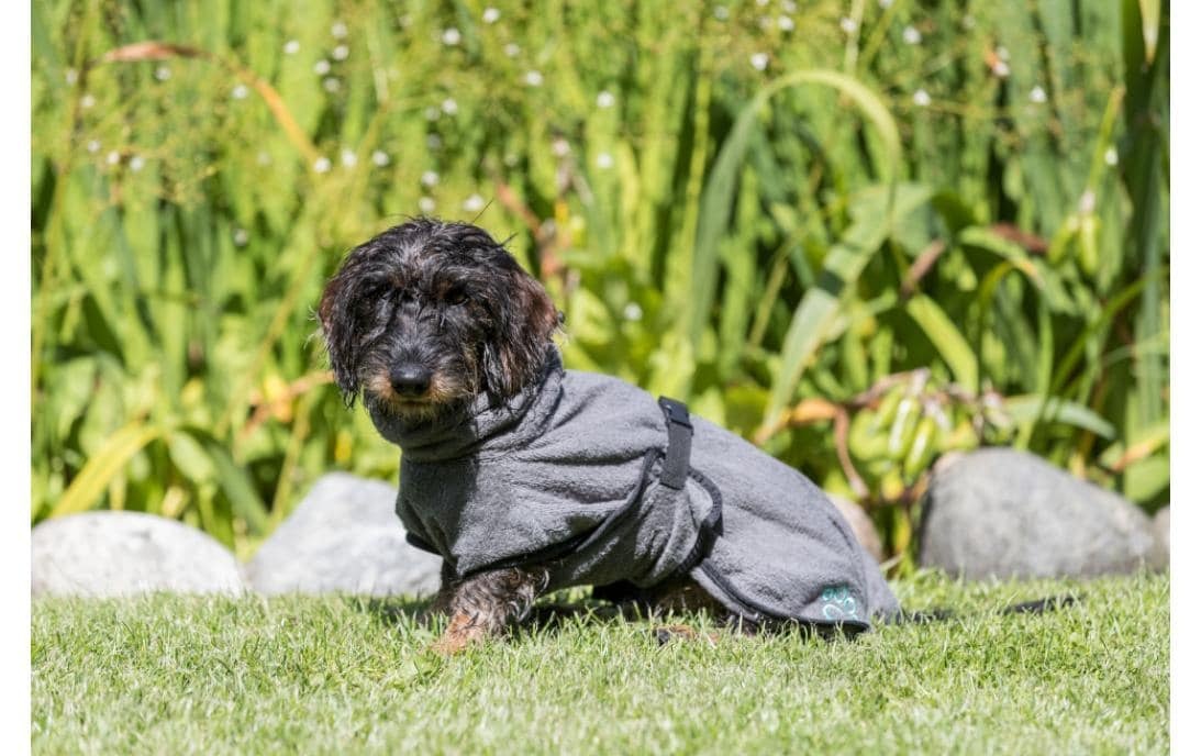 TRIXIE Hundebademantel »Bademantel für Hunde Frottee«