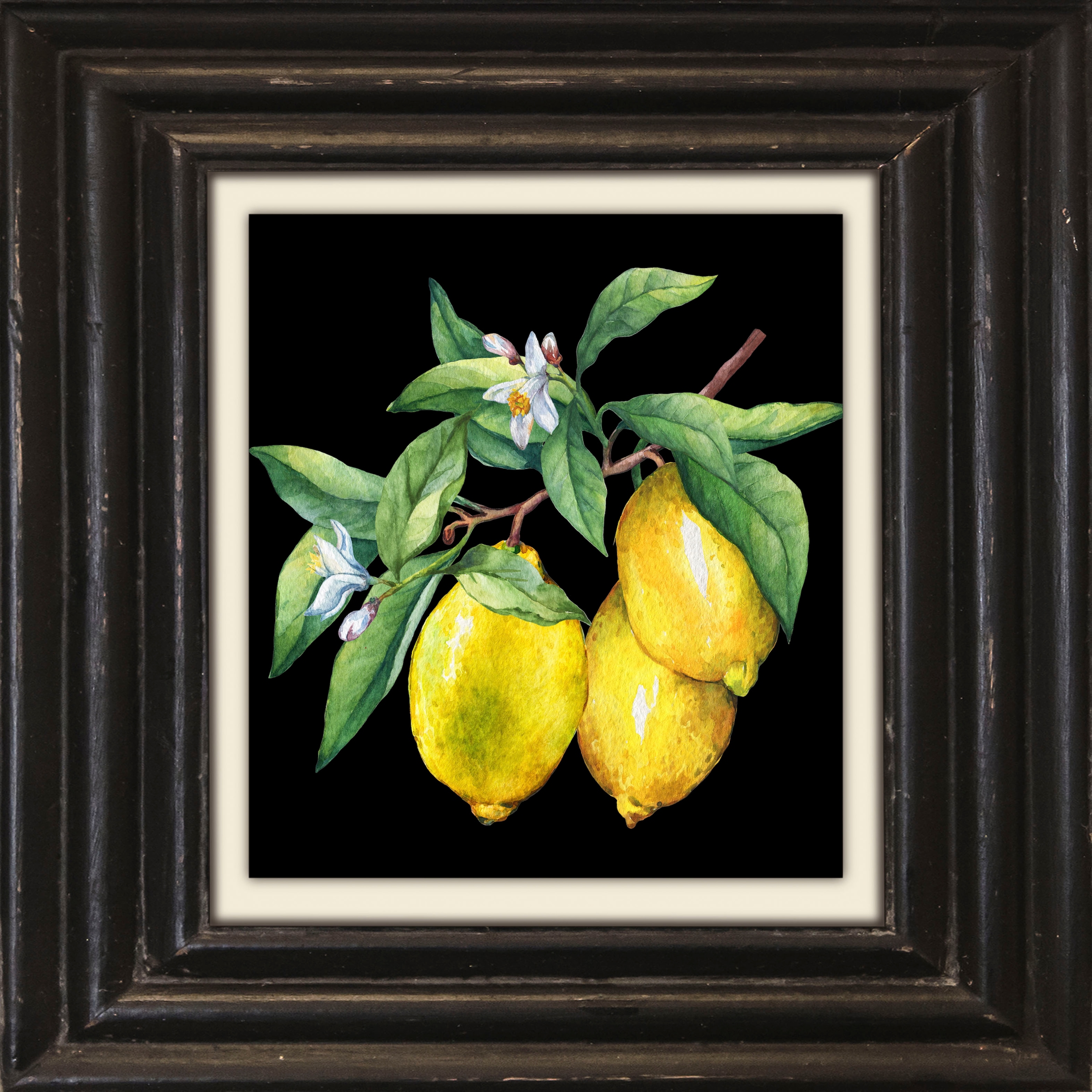 Image of queence Leinwandbild "Zitronen" Kunst Obst Obst Bilder Stillleben Premium-Leinwandstoff, Handarbeit aus Deutschland, 40x40cm