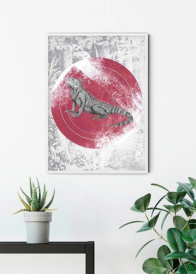 Image of Komar Bild "Iguana Circle" Tiere 1 Stk. tlg. Wandbild zur Dekoration - ohne Rahmen