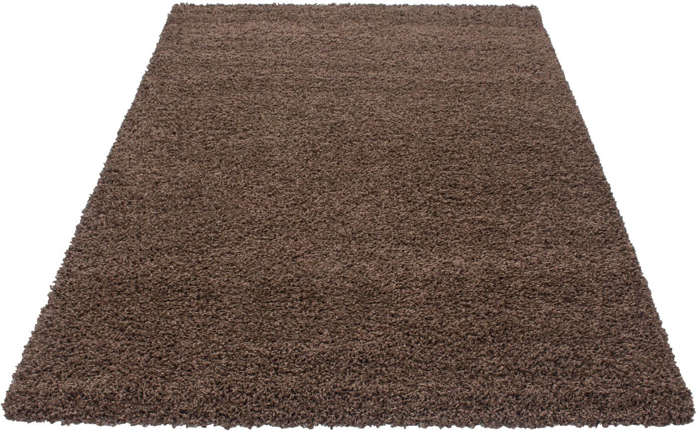 Ayyildiz Teppiche Hochflor-Teppich »Dream Shaggy«, rechteckig, 50 mm Höhe, Langflor, auch in rund, Läufer, Wohnzimmer Schlafzimmer