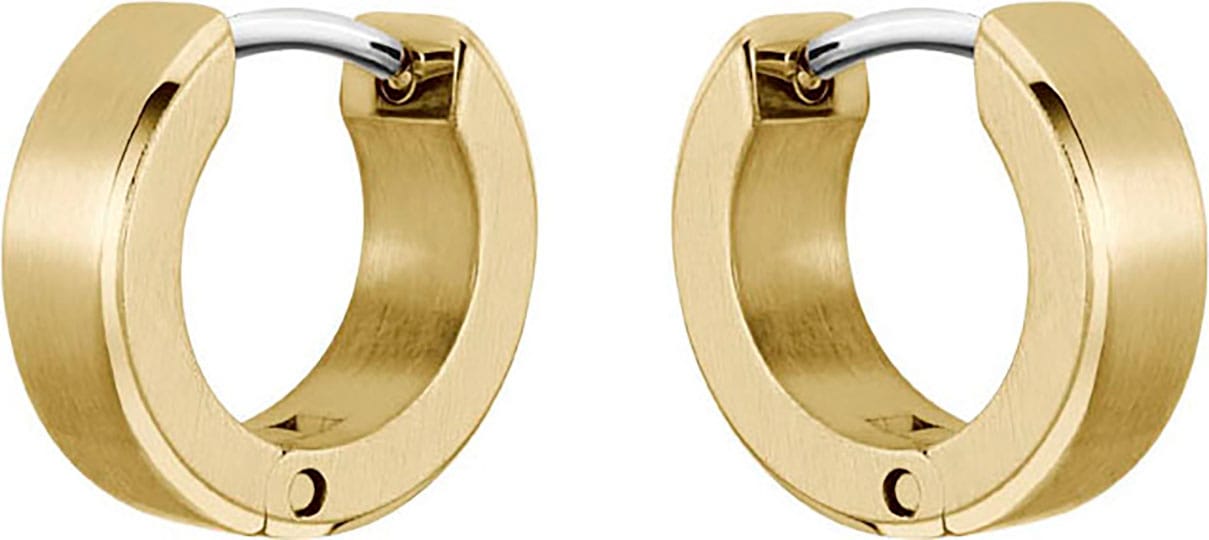 BOSS Paire de créoles »ODELL«