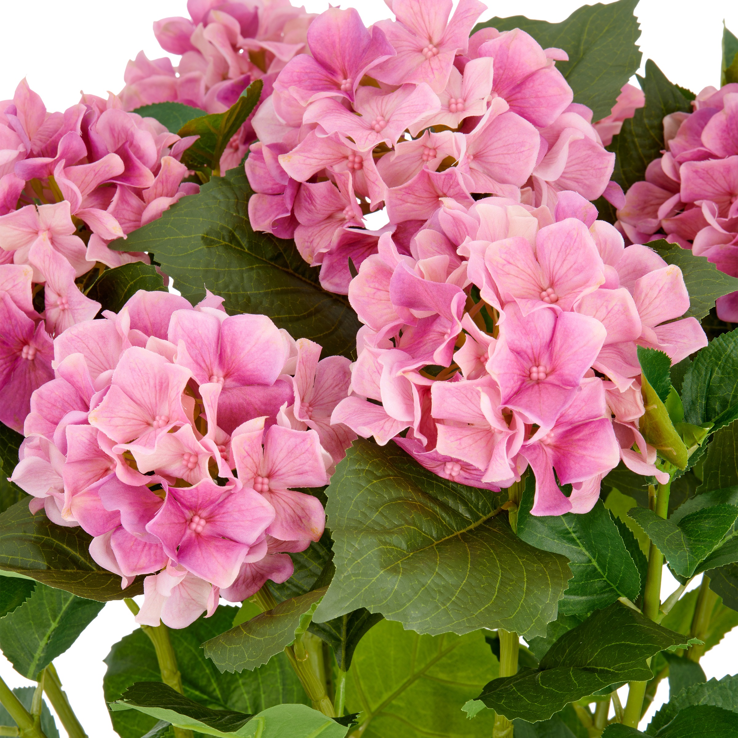 Creativ green Plante artificielle »Hortensie« im eleganten Topf