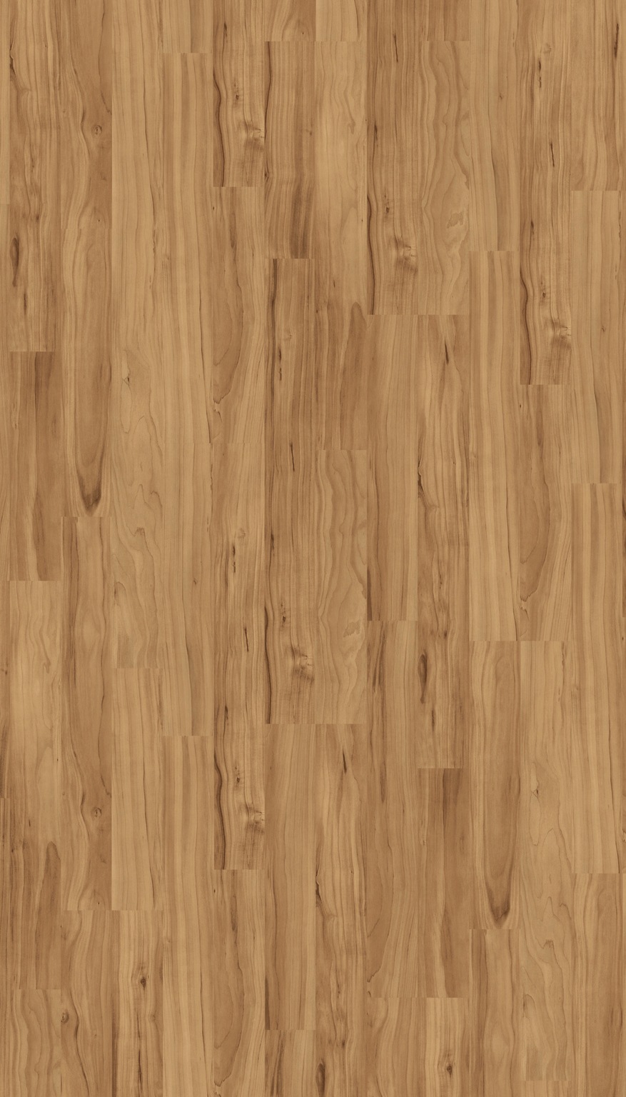 Image of PARADOR Laminat »Basic 400 - Apfel Bernstein«, (Packung), ohne Fuge, 1285 x 194 mm, Stärke: 8 mm bei Ackermann Versand Schweiz