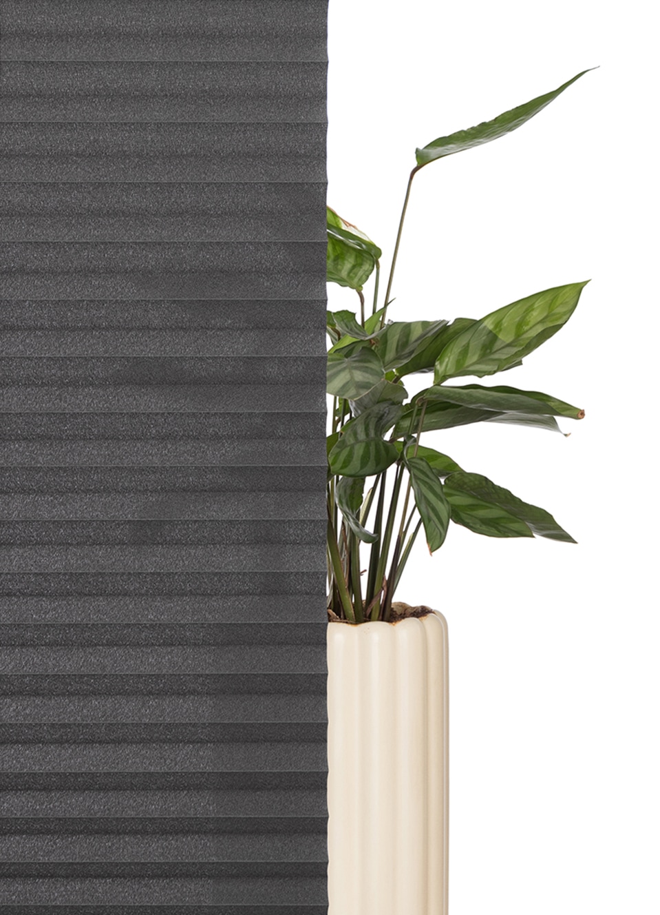 GOODproduct Plissé »LAHOLM UNI« Lichtschutz Aucun perçage requis sous tension Fixmass, Klemmträger in Unifarben passend zum Plissee -NEUHEIT!
