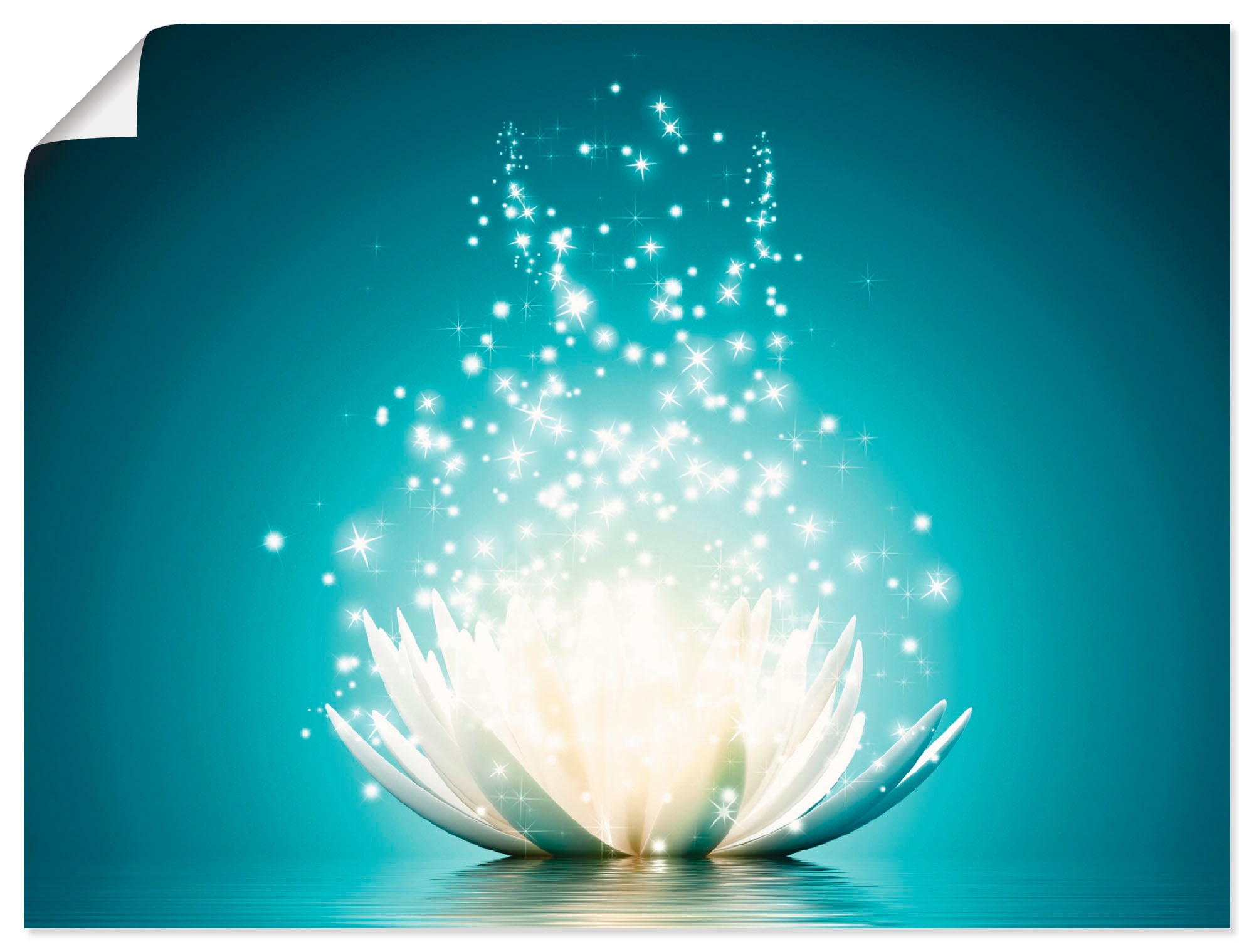 Artland Wandbild »Magie der Lotus-Blume«, Blumen, (1 St.), als Alubild,  Leinwandbild, Wandaufkleber oder Poster in versch. Grössen maintenant