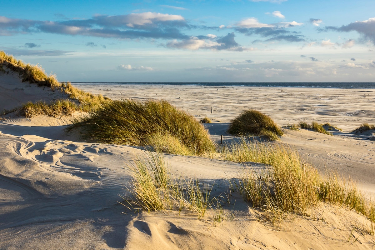 Image of Papermoon Fototapete "DÜNEN-AMRUM NORDSEE STRAND MEER INSEL HOLSTEIN GRAS XXL"