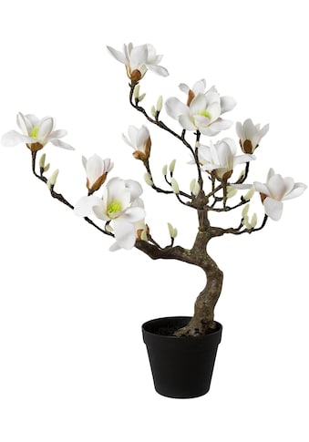 Kunstpflanze »Magnolienbaum«