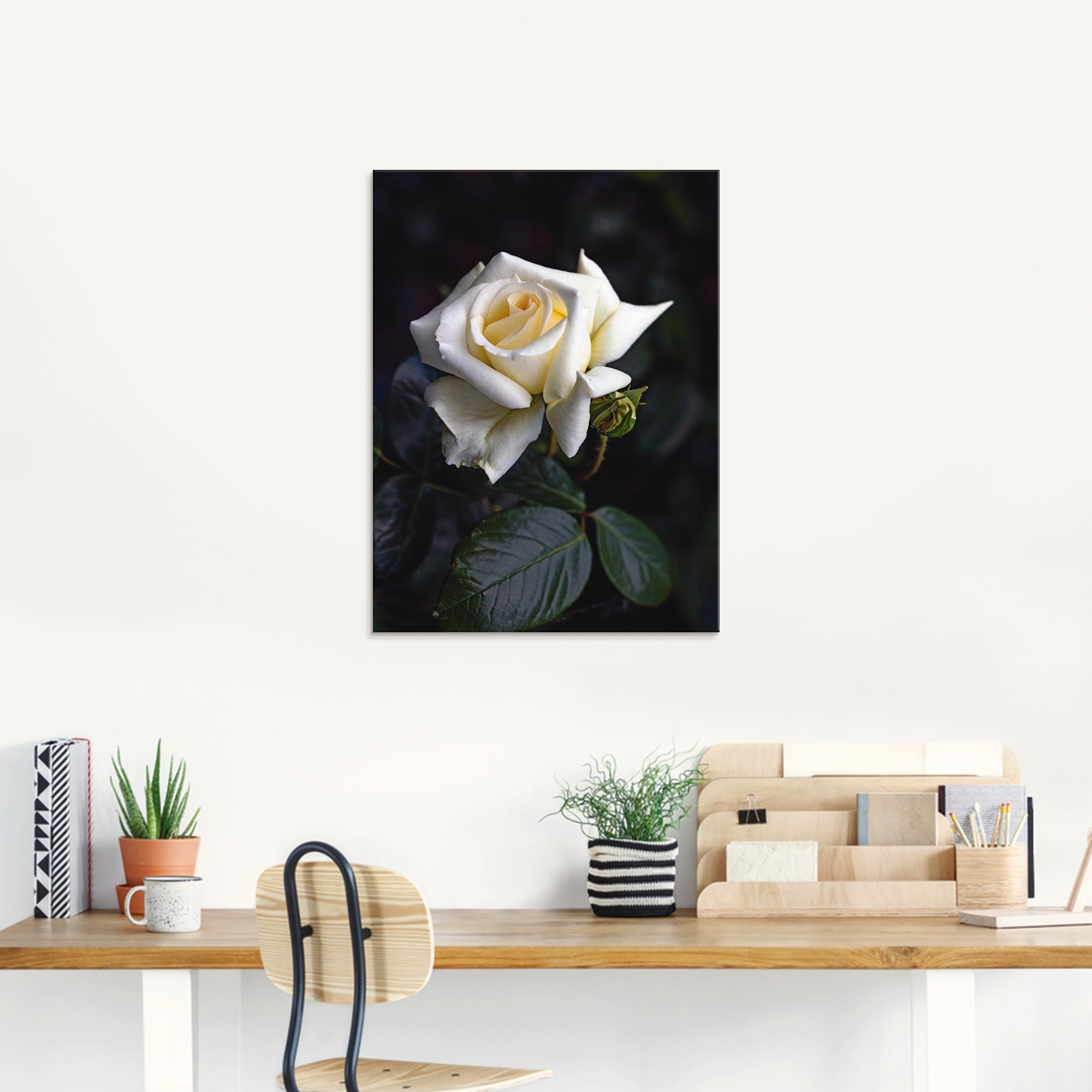 Artland Glasbild »Weiss-gelbe Rose« Blumen 1 Stk. tlg. in verschiedenen Grössen