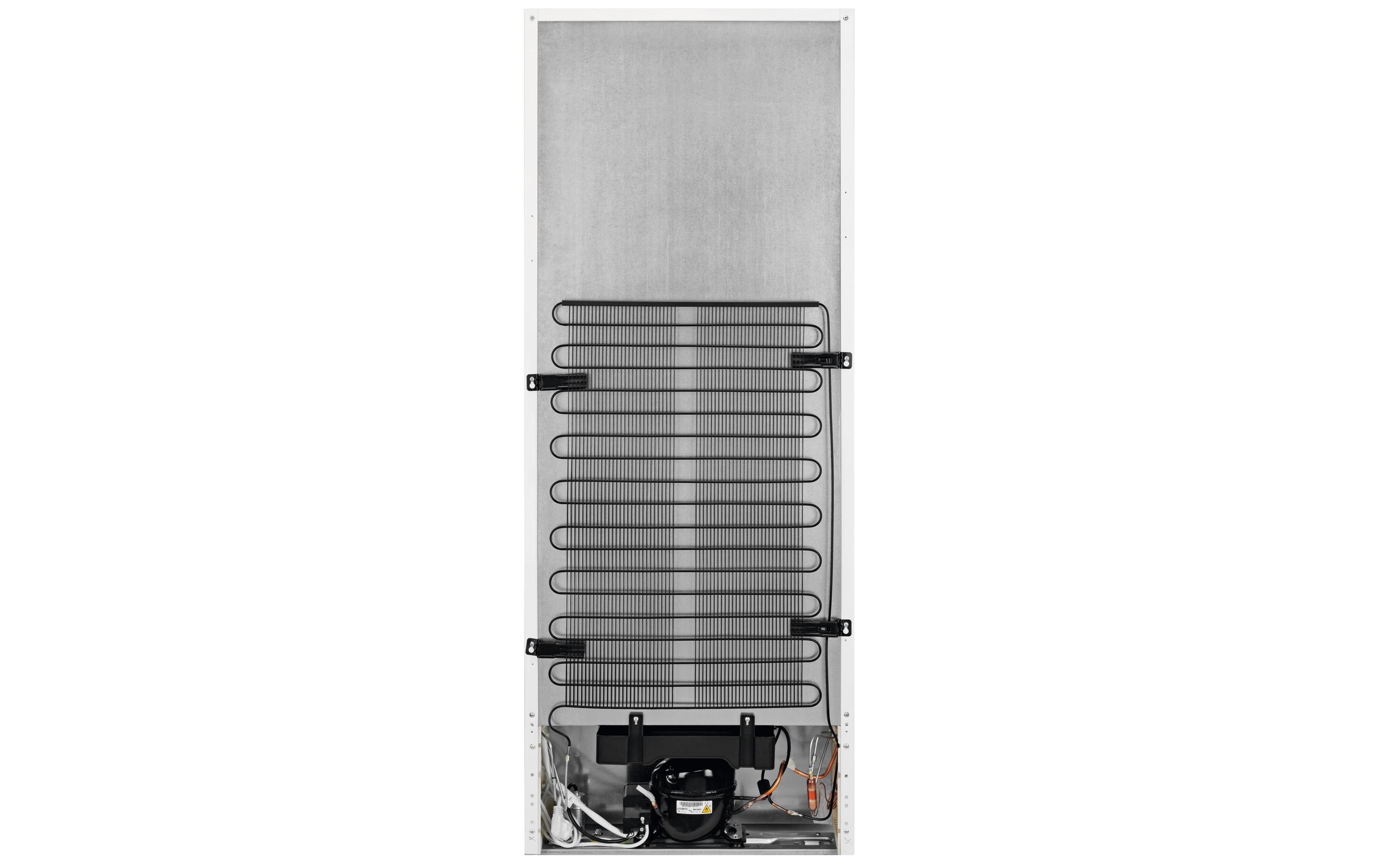 Electrolux Réfrigérateur »Electrolux SC310, Recht« 155 cm hoch 59,5 cm breit