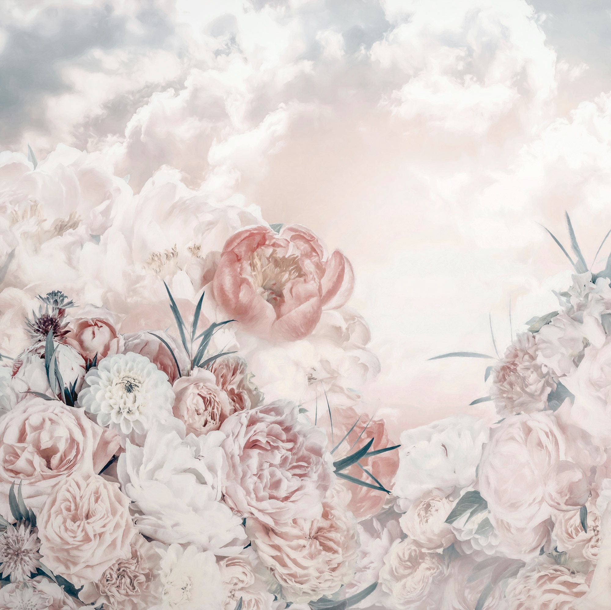 Image of Komar Vliestapete "Digitaldruck Vlies - Blossom Clouds - Grösse 250 x 250 cm" bedruckt glatt Wohnzimmer, Schlafzimmer