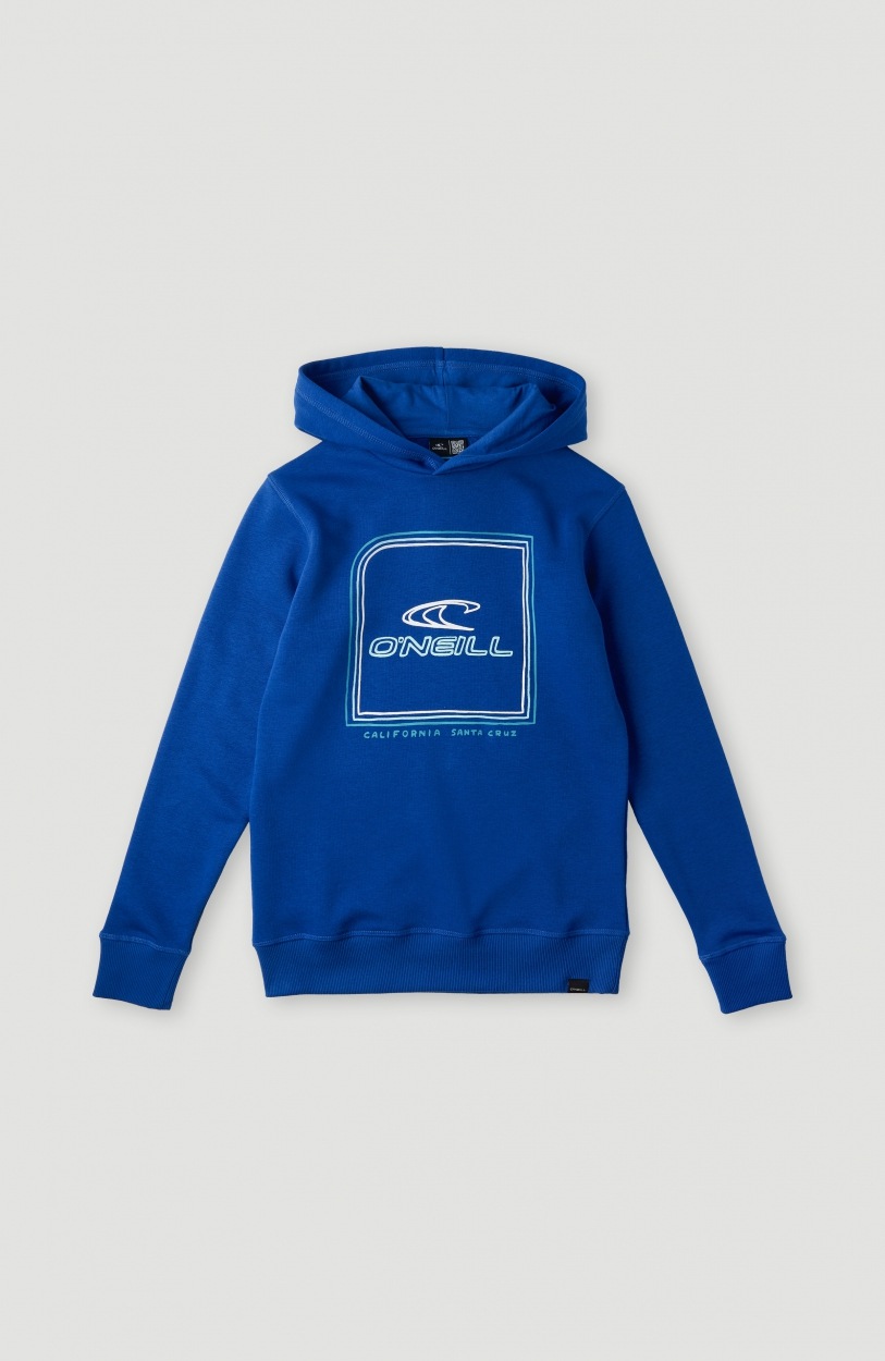 Image of O'Neill Sweatshirt »ALL YEAR HOODIE« bei Ackermann Versand Schweiz