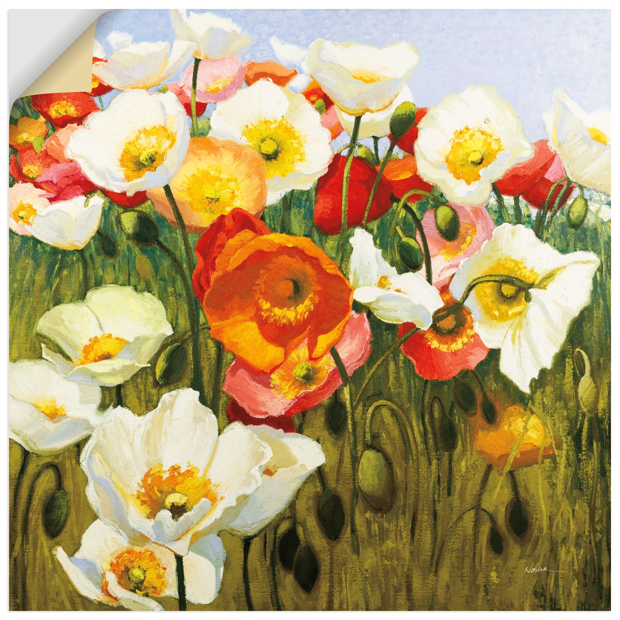 Image of Artland Wandbild "Sunny Goodge Street" Blumenbilder 1 Stk. tlg. als Alubild, Leinwandbild, Poster, Wandaufkleber in verschied. Grössen