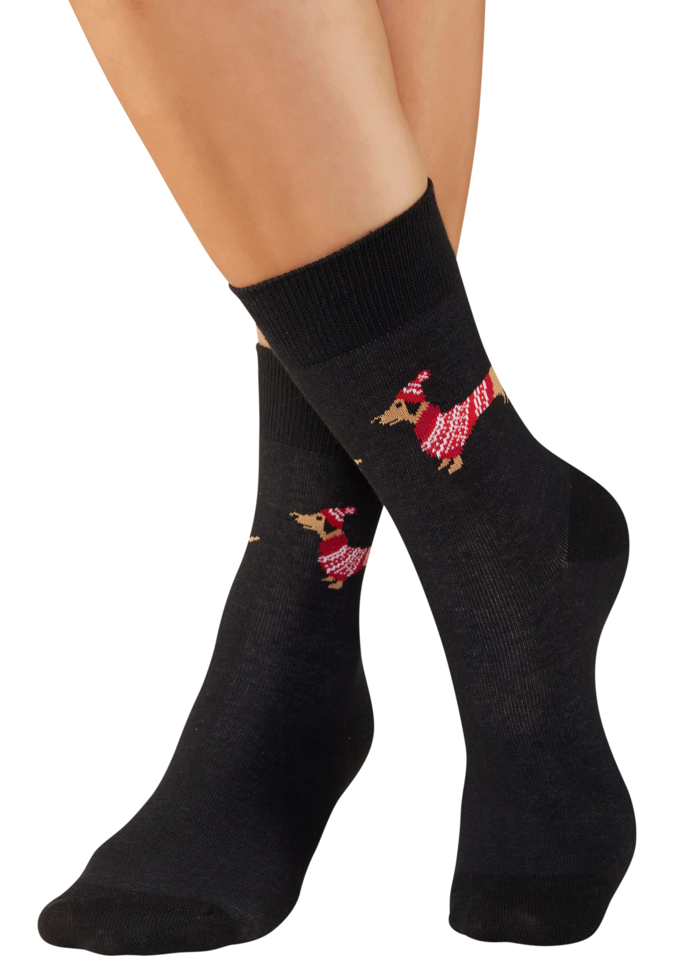 LASCANA Chaussettes Packung, 3 Couple tlg. mit weihnachtlichem Dackelmotiv