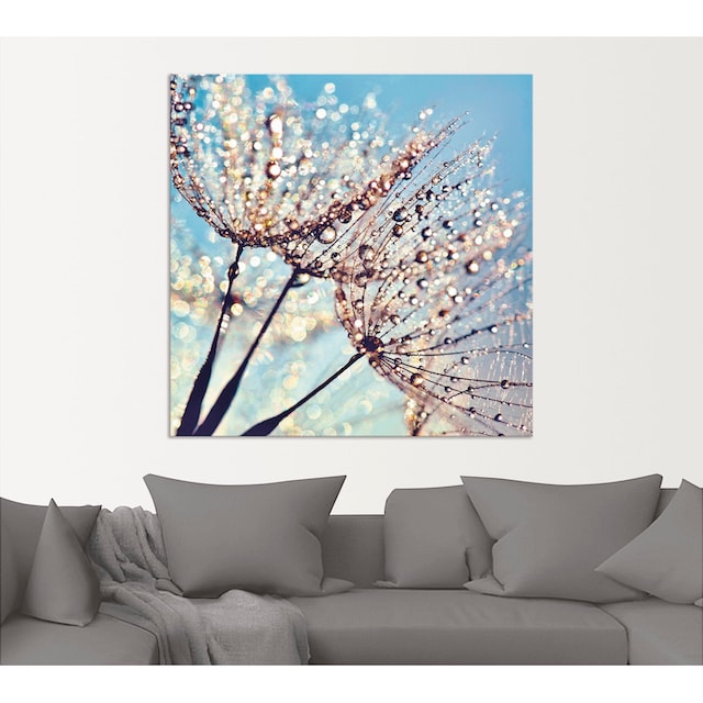 Artland Wandbild »Pusteblume Tröpfchenfänger«, Blumen, (1 St.), als  Alubild, Leinwandbild, Wandaufkleber oder Poster in versch. Grössen jetzt  kaufen