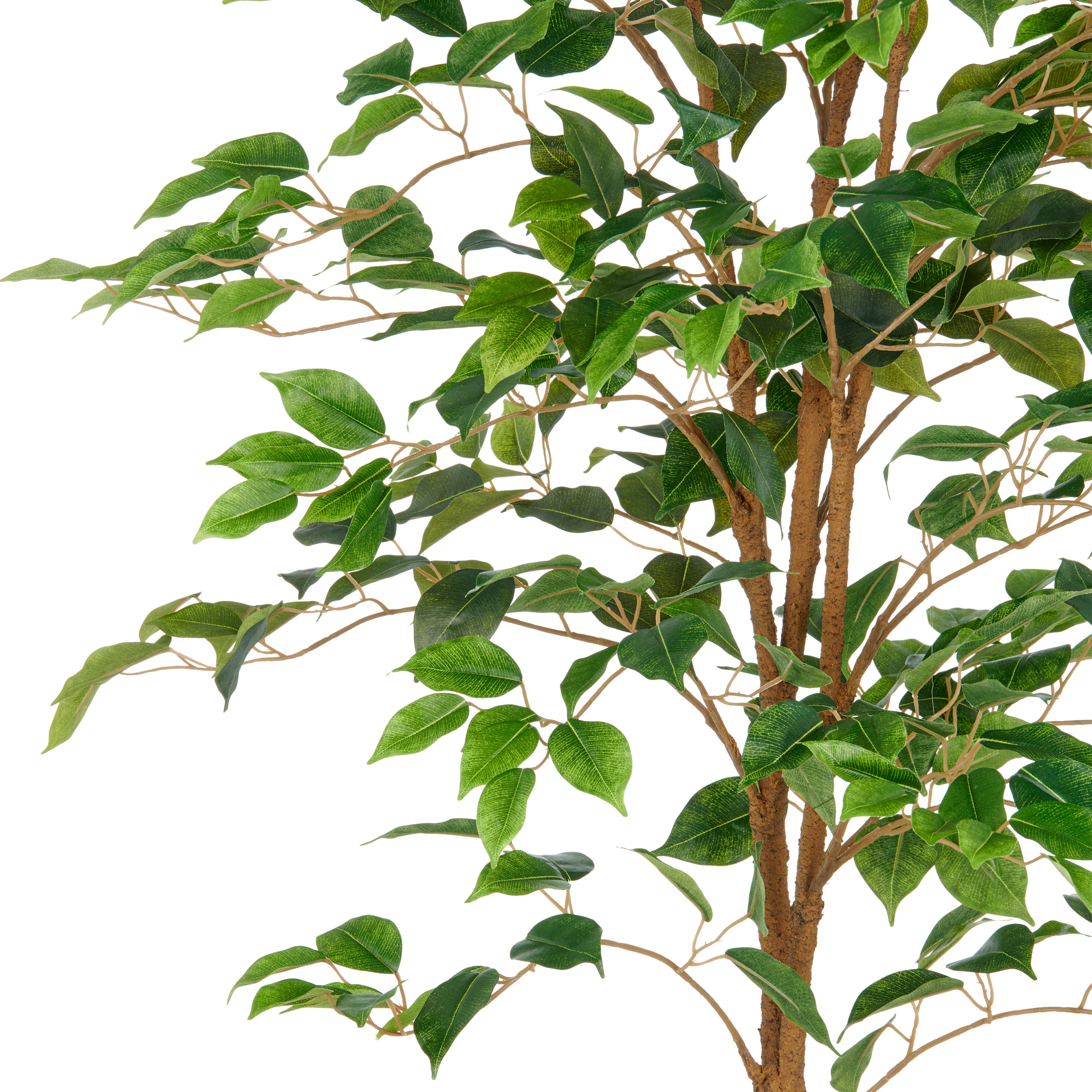 Creativ green Kunstbaum »Ficus Benjamina« mit naturgetreuem Blattwerk und Stamm