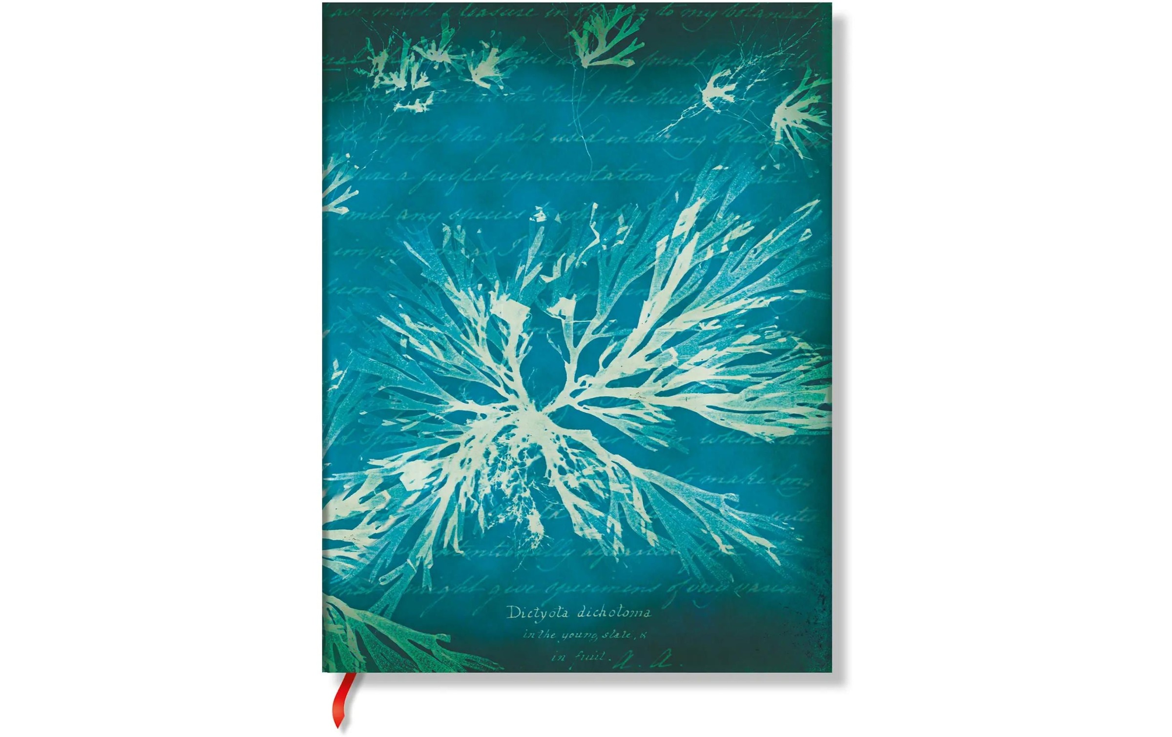 Image of Notizbuch "Notizbuch Meeresblumen 17.5 x 22.5 cm, Liniert"