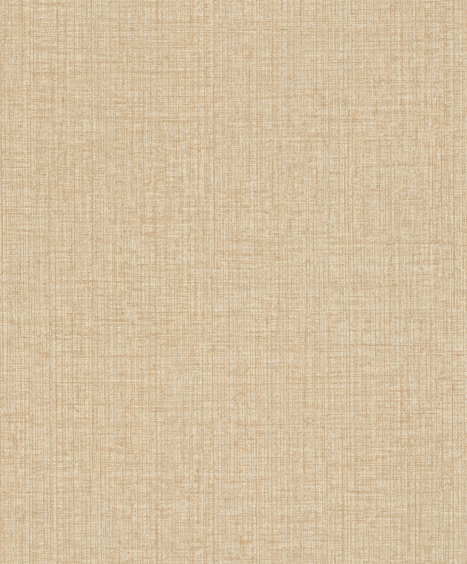 Image of Rasch Vliestapete »Andy Wand«, uni-Strukturmuster-metallic, gut lichtbeständig, hochwaschbeständig bei Ackermann Versand Schweiz