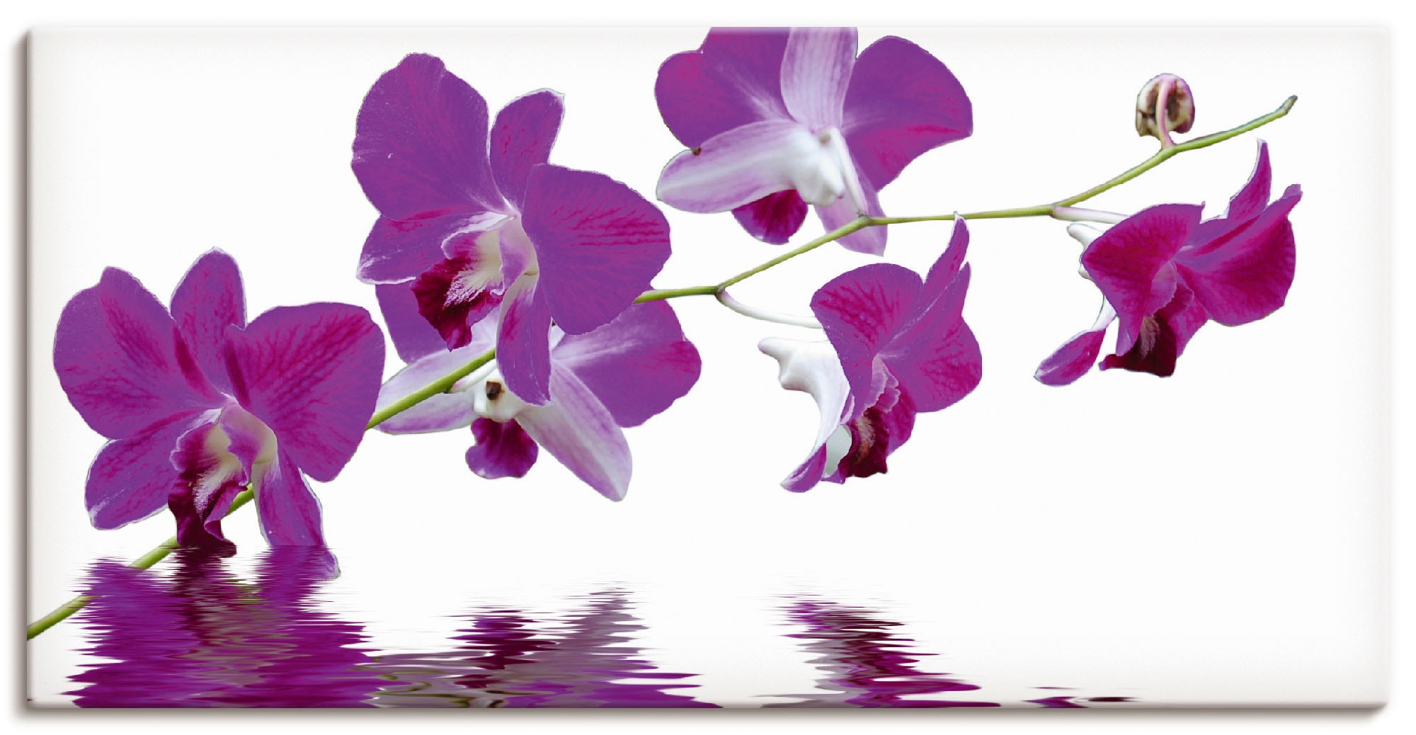 Image of Artland Leinwandbild "Violette Orchideen" Blumen 1 Stk. tlg. auf Holzrahmen gespannt