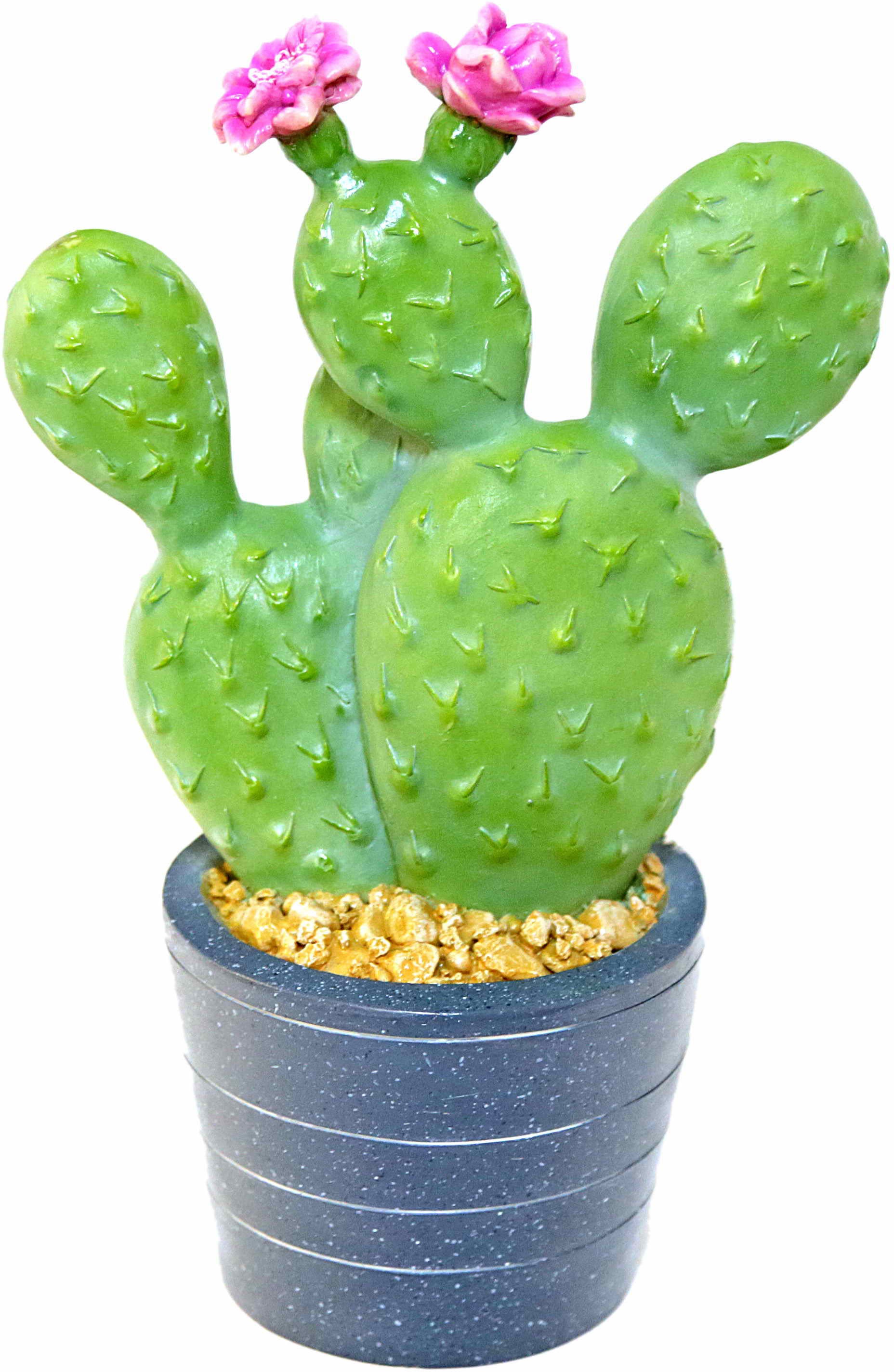 Image of Casa Collection by Jänig Fensterdekoration »Kaktus, Höhe: 28cm«, (1 St.) bei Ackermann Versand Schweiz