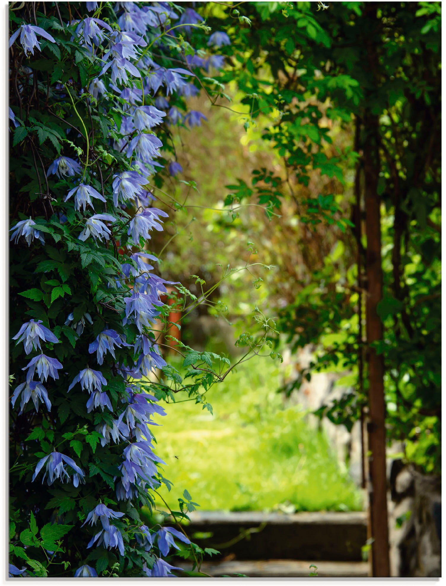 Image of Artland Glasbild »Garteneingang mit Clematis«, Garten, (1 St.) bei Ackermann Versand Schweiz