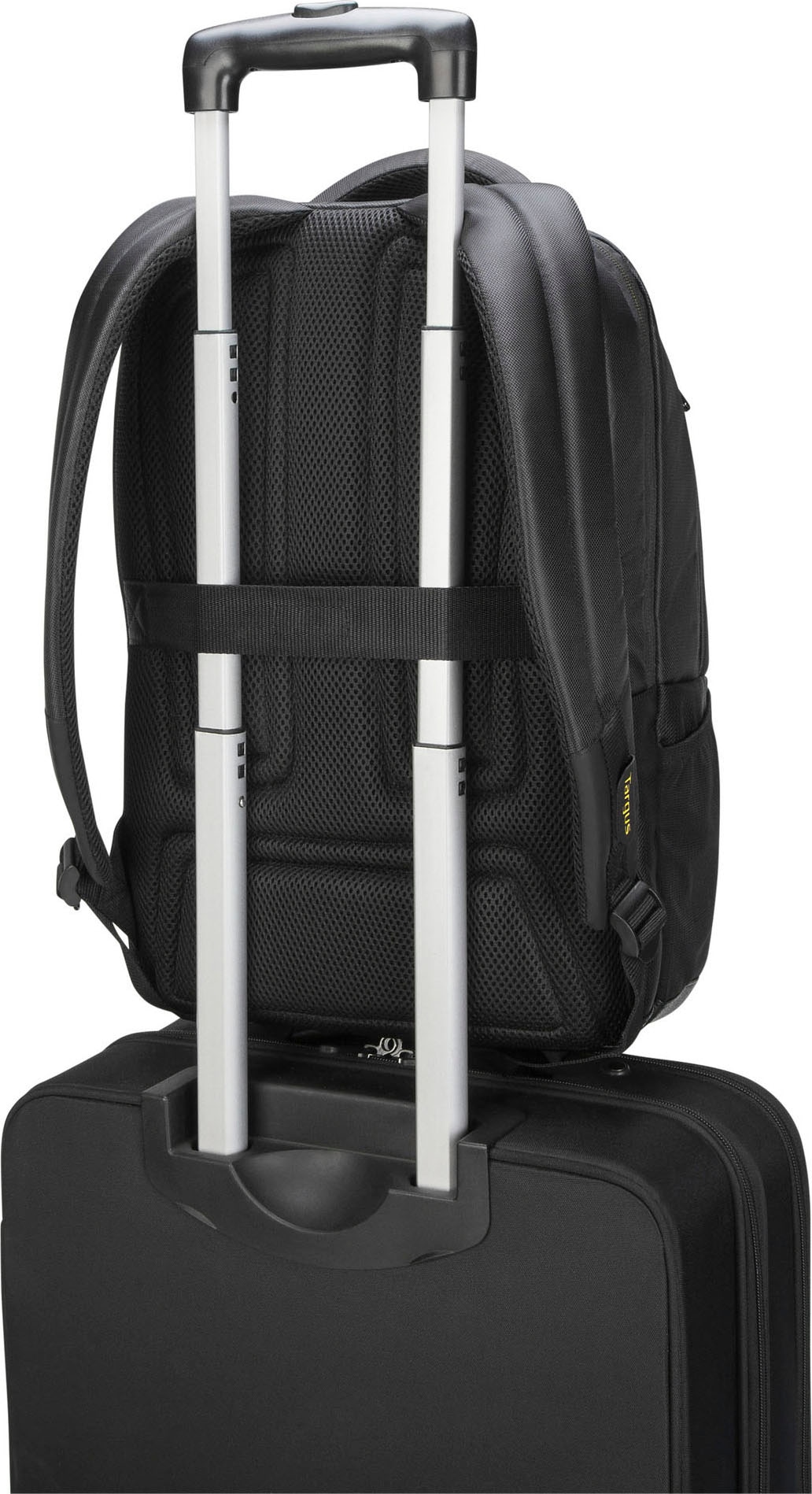 Targus Laptoptasche »CG3 15.6 Backpack W raincover«