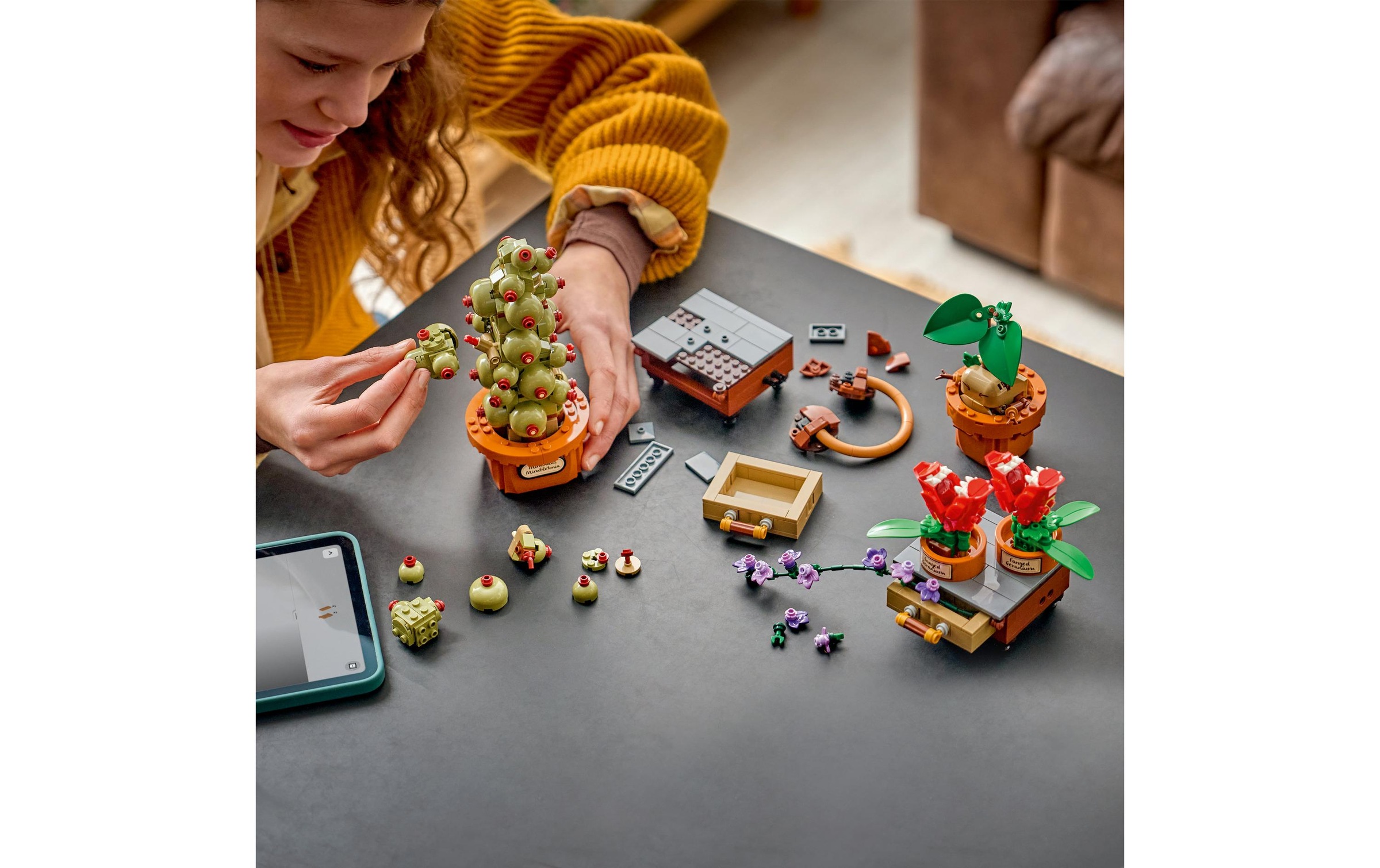 Image of LEGO Konstruktionsspielsteine "Schloss Hogwarts: Kräuterkunde-Pflanzen (76474), LEGO Harry Potter" Made in Europe