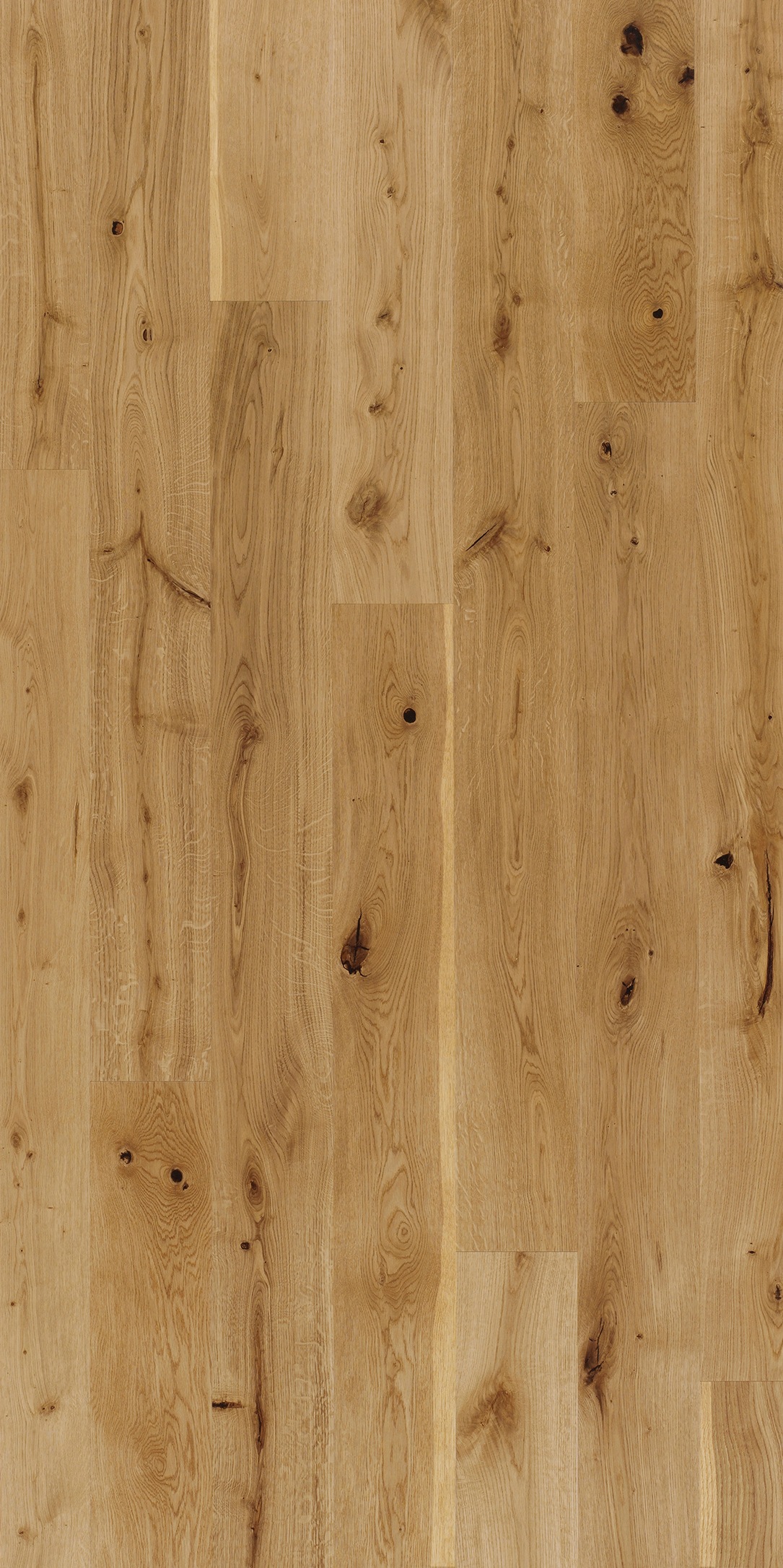 Image of PARADOR Parkett »Basic Rustikal - Eiche, lackiert«, (Packung), lackiert, 2200 x 185 mm, Stärke: 11,5 mm, 4,07 m² bei Ackermann Versand Schweiz