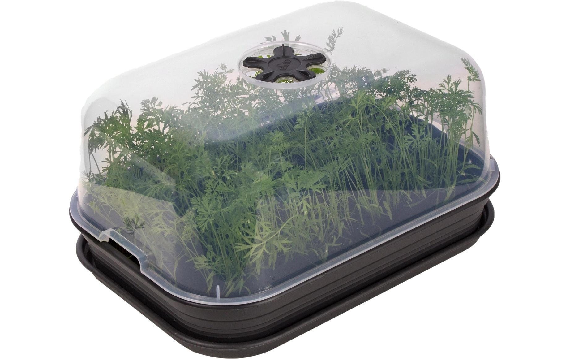 Elho Anzuchttopf »Anzuchtset M Green Basics«