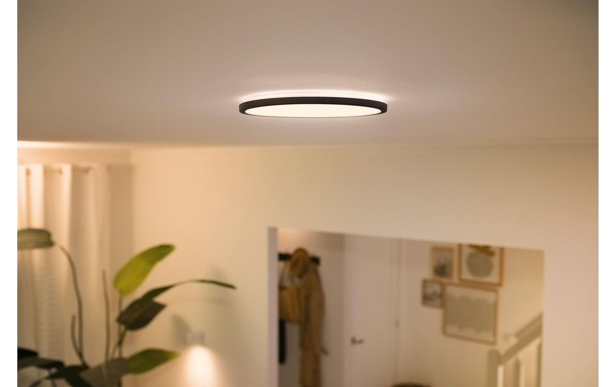   Deckenleuchte »WiZ Ceiling 16W B RD« Kaltweiss | Neutralweiss | Tageslichtweiss | Warmweiss