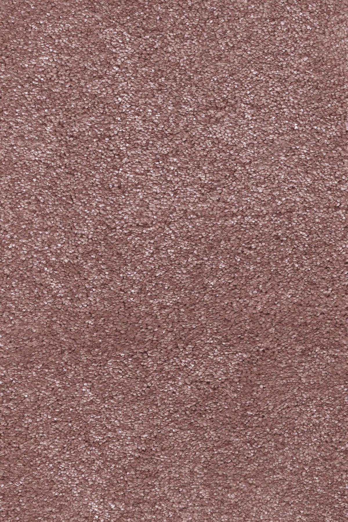 Image of Andiamo Teppichboden »Pisa«, rechteckig, 17,5 mm Höhe, Meterware, Breite 400 cm, Wohnzimmer bei Ackermann Versand Schweiz