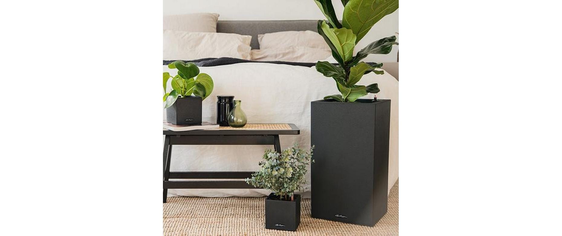   Bac à plantes »Lechuza CANTO Stone 30 high«