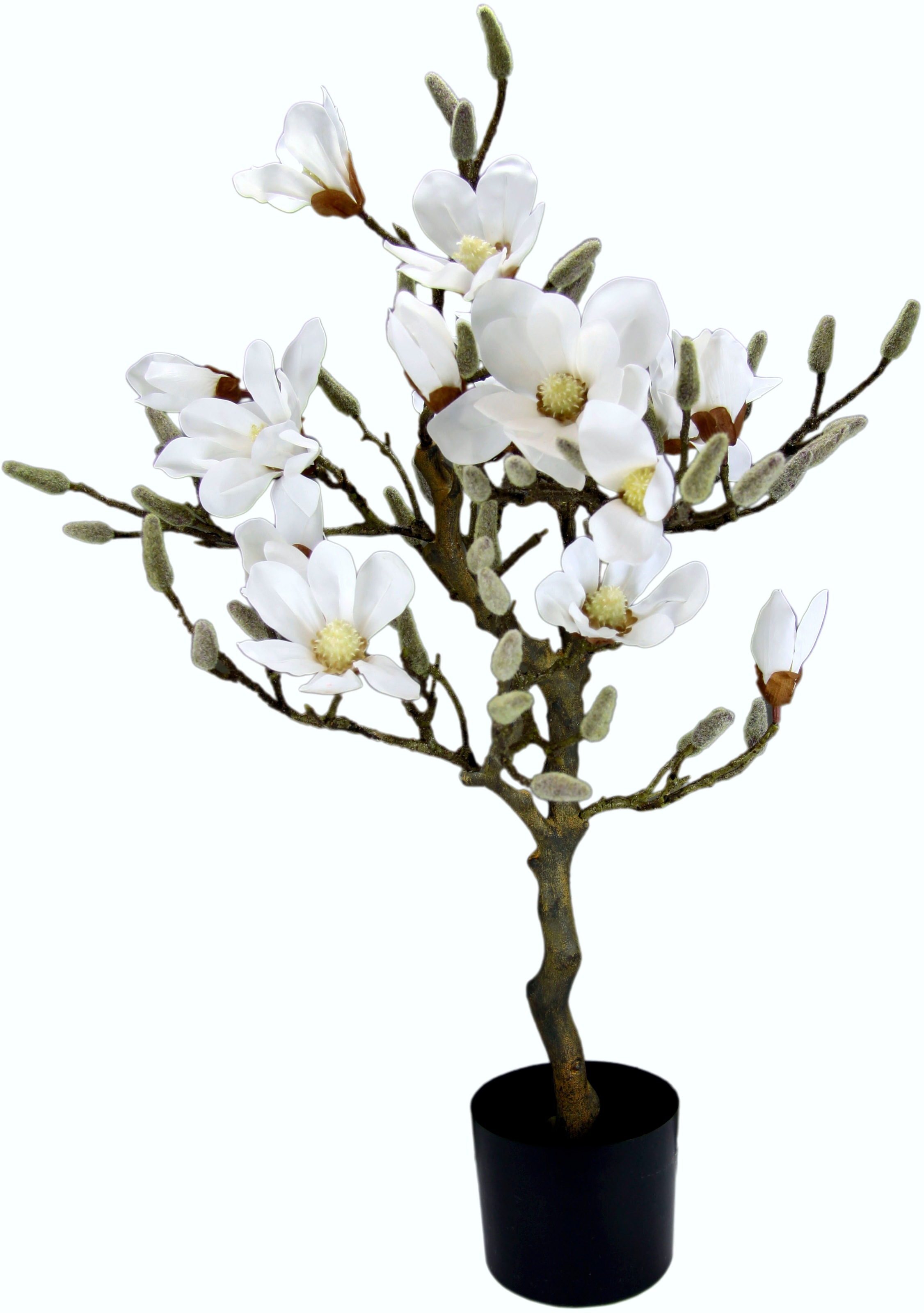 Image of I.GE.A. Kunstbaum »Magnolienbaum«, (1 St.), im Kunststofftopf bei Ackermann Versand Schweiz