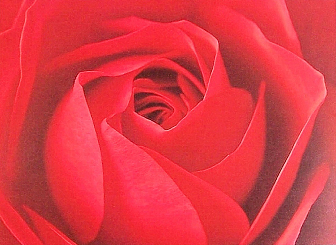 Image of my home Kunstdruck »Ce la Rose«, (1 St.) bei Ackermann Versand Schweiz