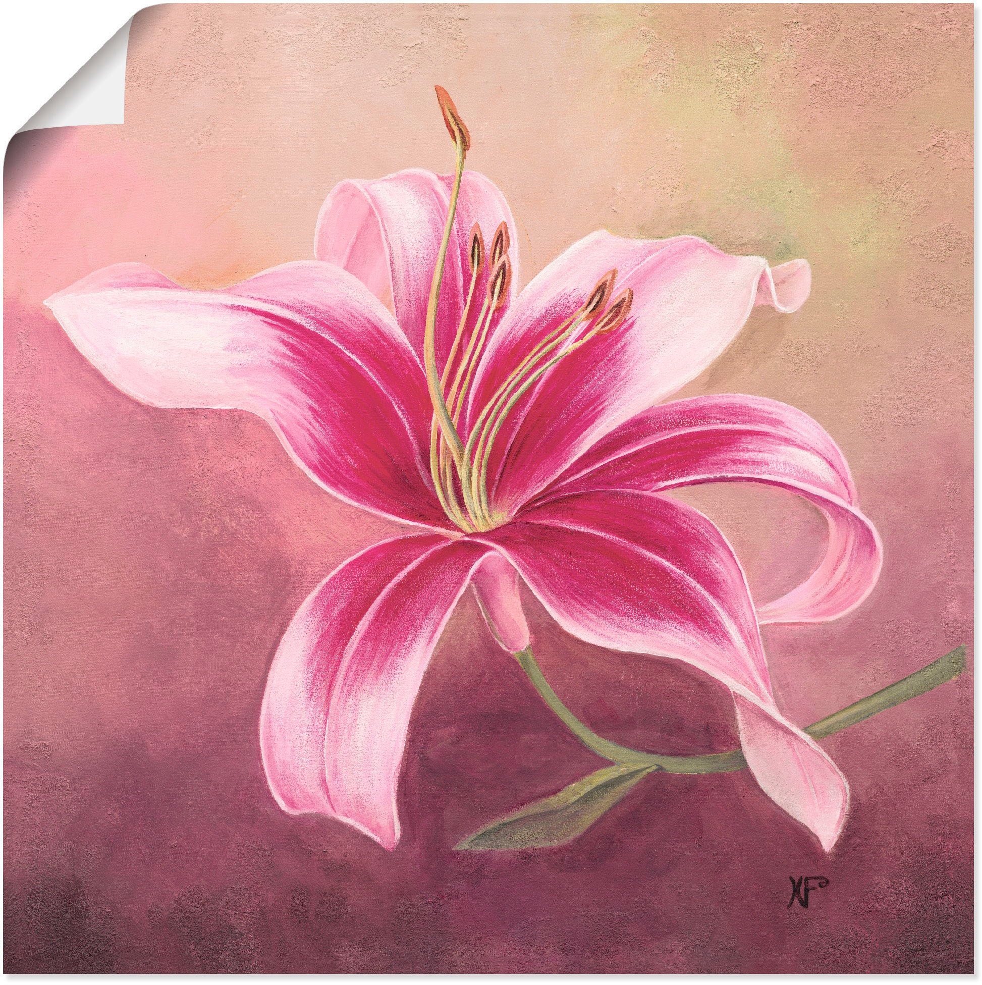 Image of Artland Wandbild "Frühe Lilie" Blumen 1 Stk. tlg. als Leinwandbild, Poster in verschied. Grössen