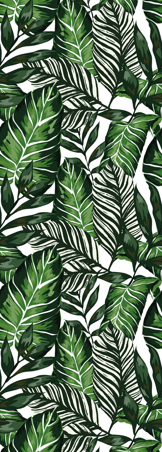 Image of queence Vinyltapete "Mira" Motiv bedruckt botanisch floral gemustert natürlich glatt 90x250cm, selbstklebend, kinderleichte Anbringung, Sticker