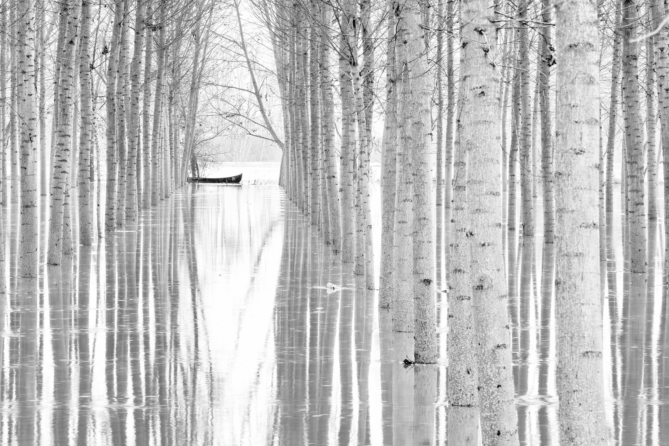 Image of Papermoon Fototapete »Photo-Art AGLIONI SIMONE, BEWEGUNGSFREIHEIT«, Vliestapete, hochwertiger Digitaldruck, inklusive Kleister bei Ackermann Versand Schweiz
