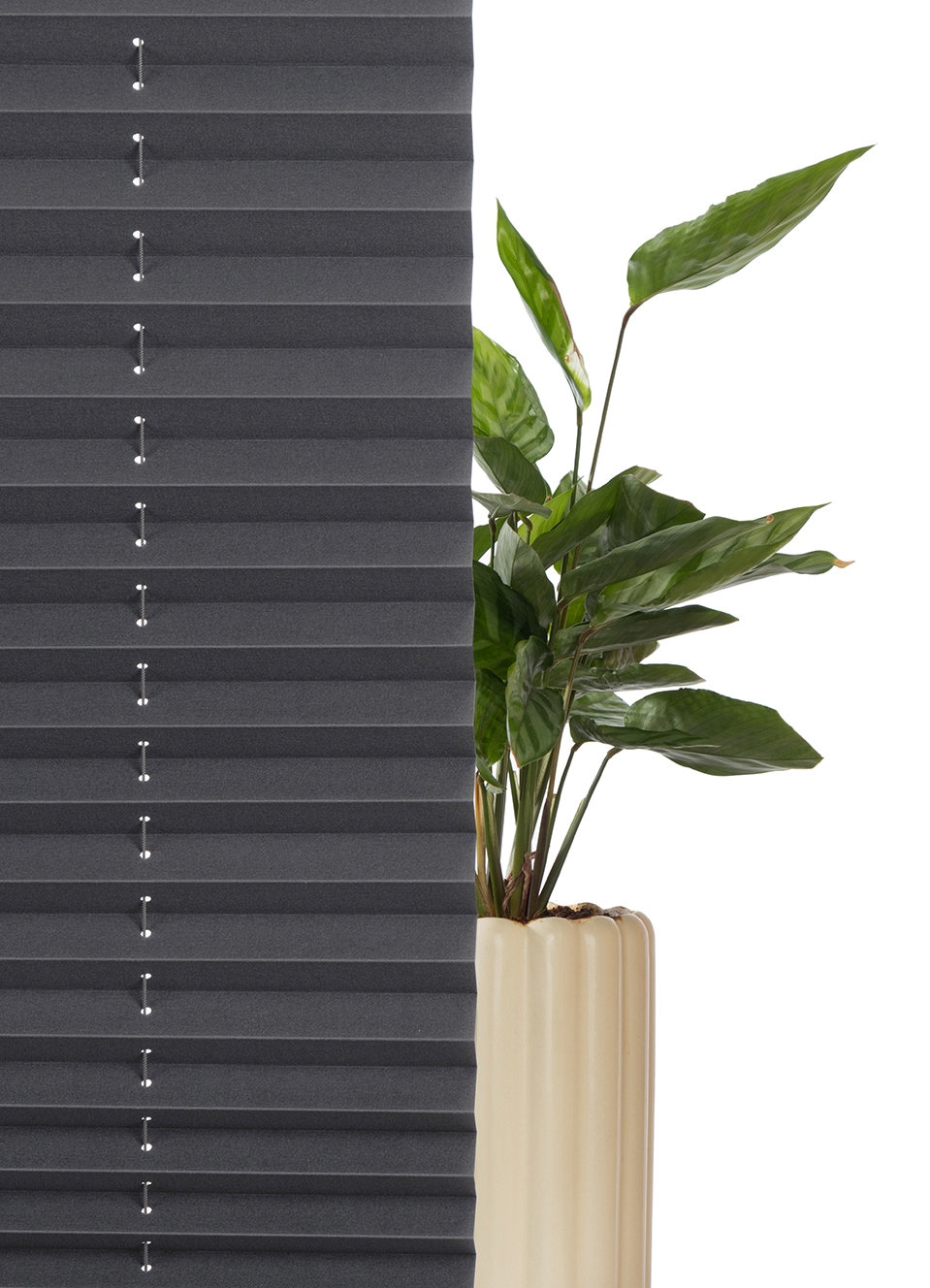 GOODproduct Plissé »LAHOLM UNI DARK« verdunkelnd Aucun perçage requis sous tension verdunkelnd, Klemmträger in Unifarben passend zum Plissee -NEUHEIT