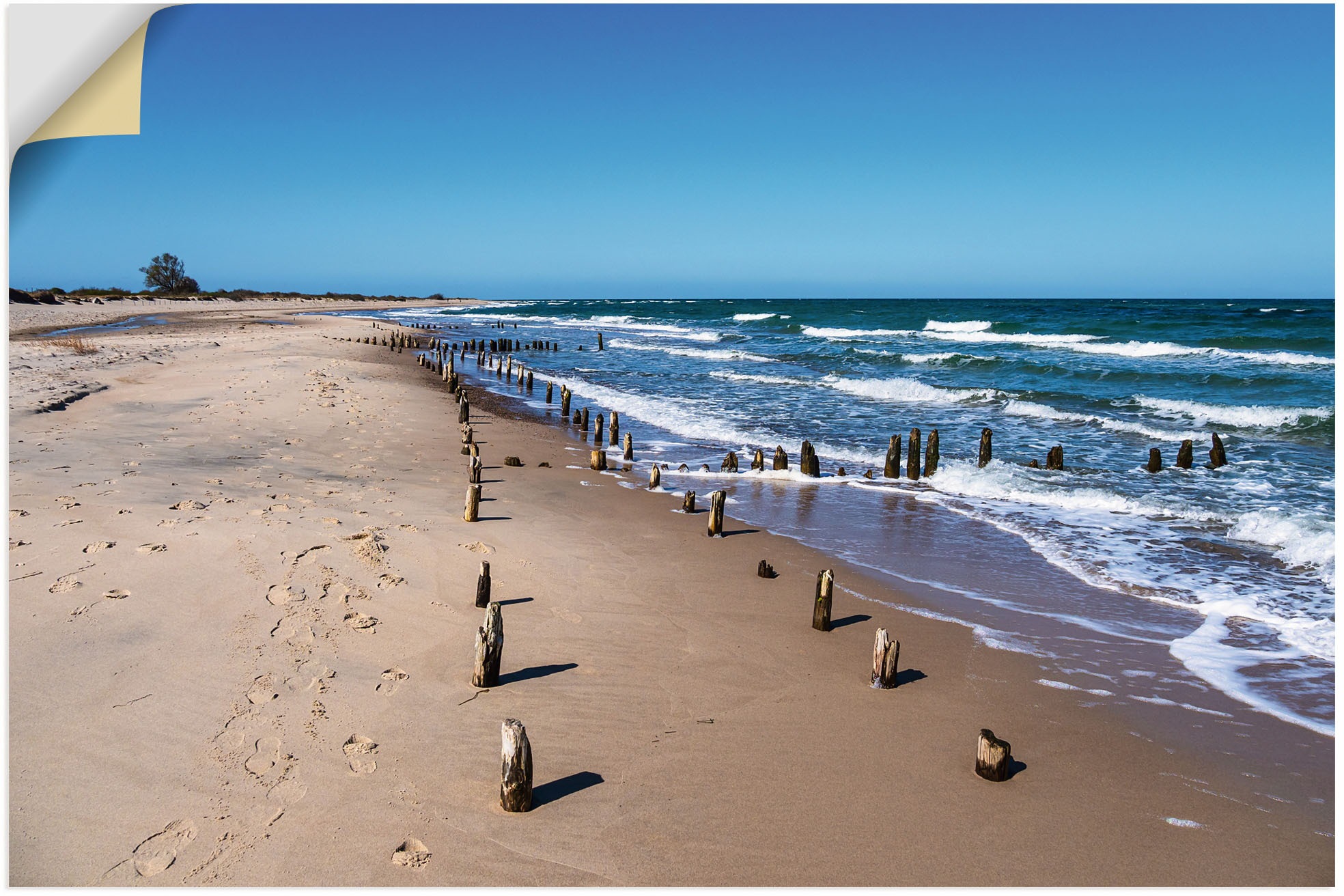 Image of Artland Wandbild »Buhnen an Ostseeküste Kühlungsborn I«, Küstenbilder, (1 St.), in vielen Grössen & Produktarten - Alubild / Outdoorbild für den Aussenbereich, Leinwandbild, Poster, Wandaufkleber / Wandtattoo auch für Badezimmer geeignet bei Ackermann Ver