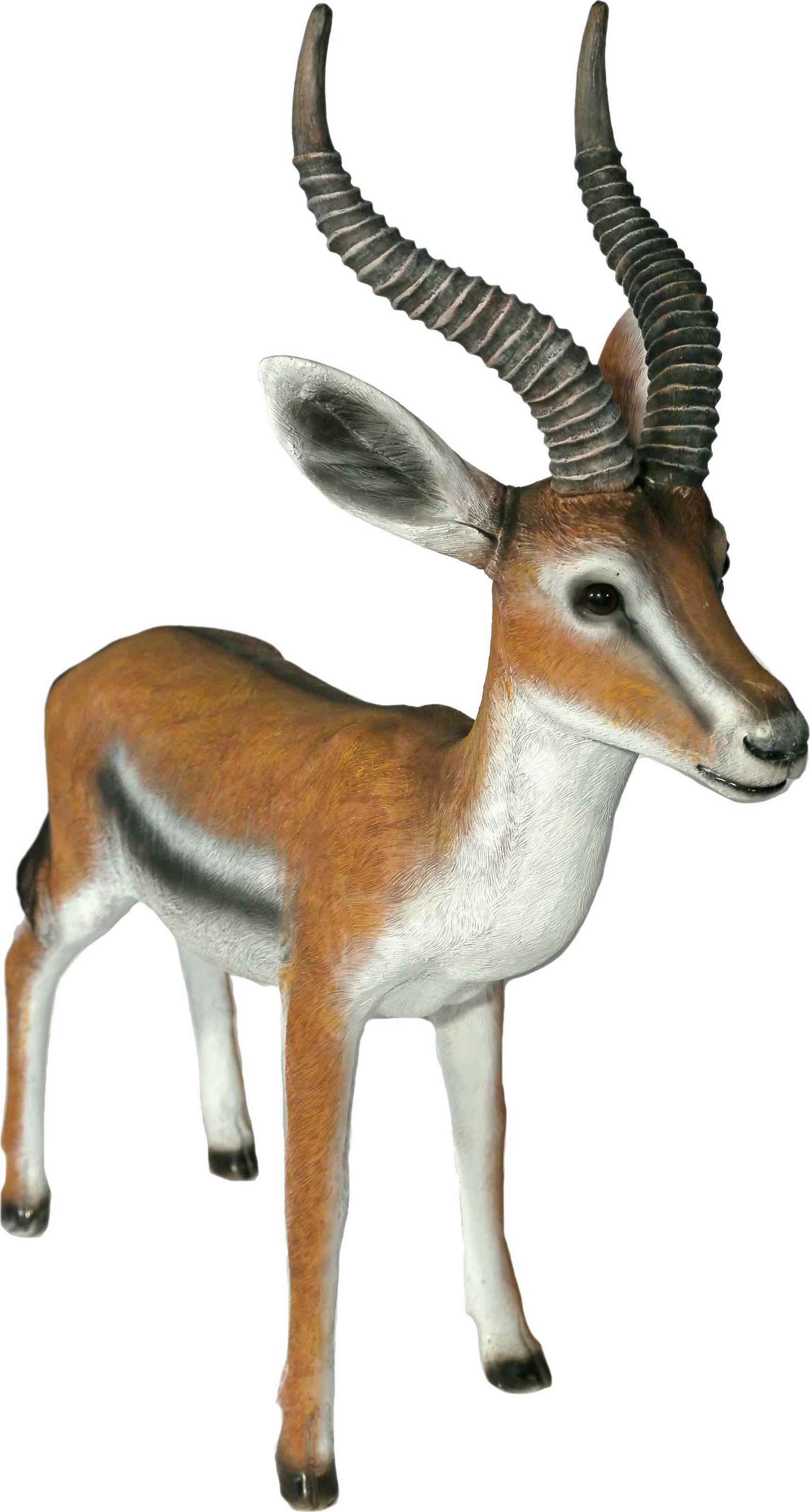 Image of Casa Collection by Jänig Tierfigur »Springbock«, Höhe ca. 63 cm bei Ackermann Versand Schweiz