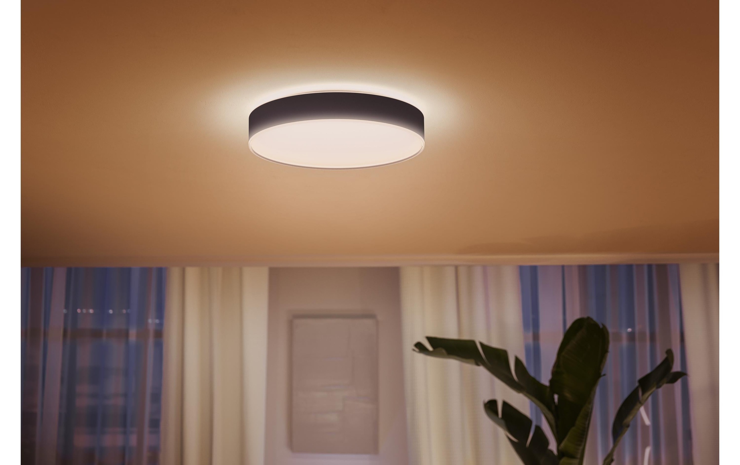 Philips Hue Deckenleuchte »Hue Deckenleuchte White«, 1 flammig