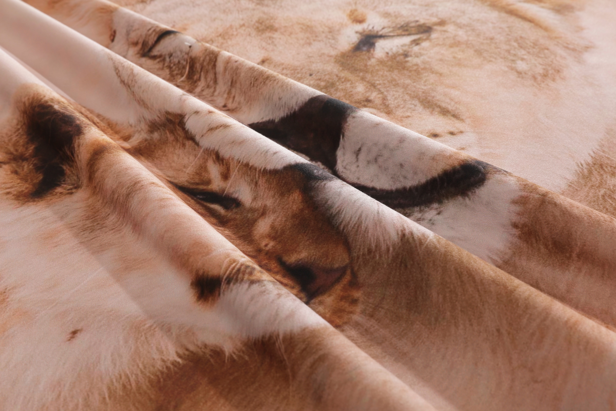 my home Linge de lit »Lyki« 2 tlg. ab Grösse 135x200 cm, 100% Polyester, Katze, Pferd, Löwe, Pinguin