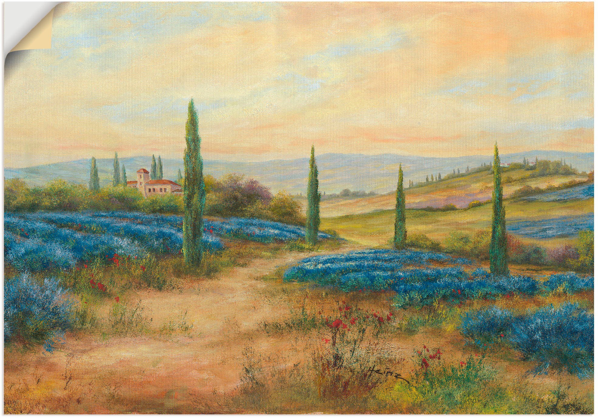 Image of Artland Wandbild »Lavendelfelder«, Europa, (1 St.), in vielen Grössen & Produktarten - Alubild / Outdoorbild für den Aussenbereich, Leinwandbild, Poster, Wandaufkleber / Wandtattoo auch für Badezimmer geeignet bei Ackermann Versand Schweiz