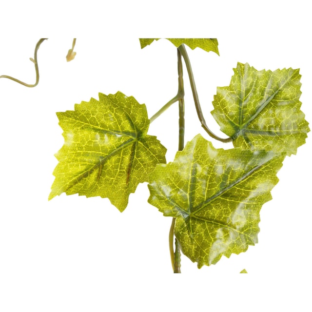Botanic-Haus Künstliche Zimmerpflanze »Weinlaubgirlande« günstig kaufen