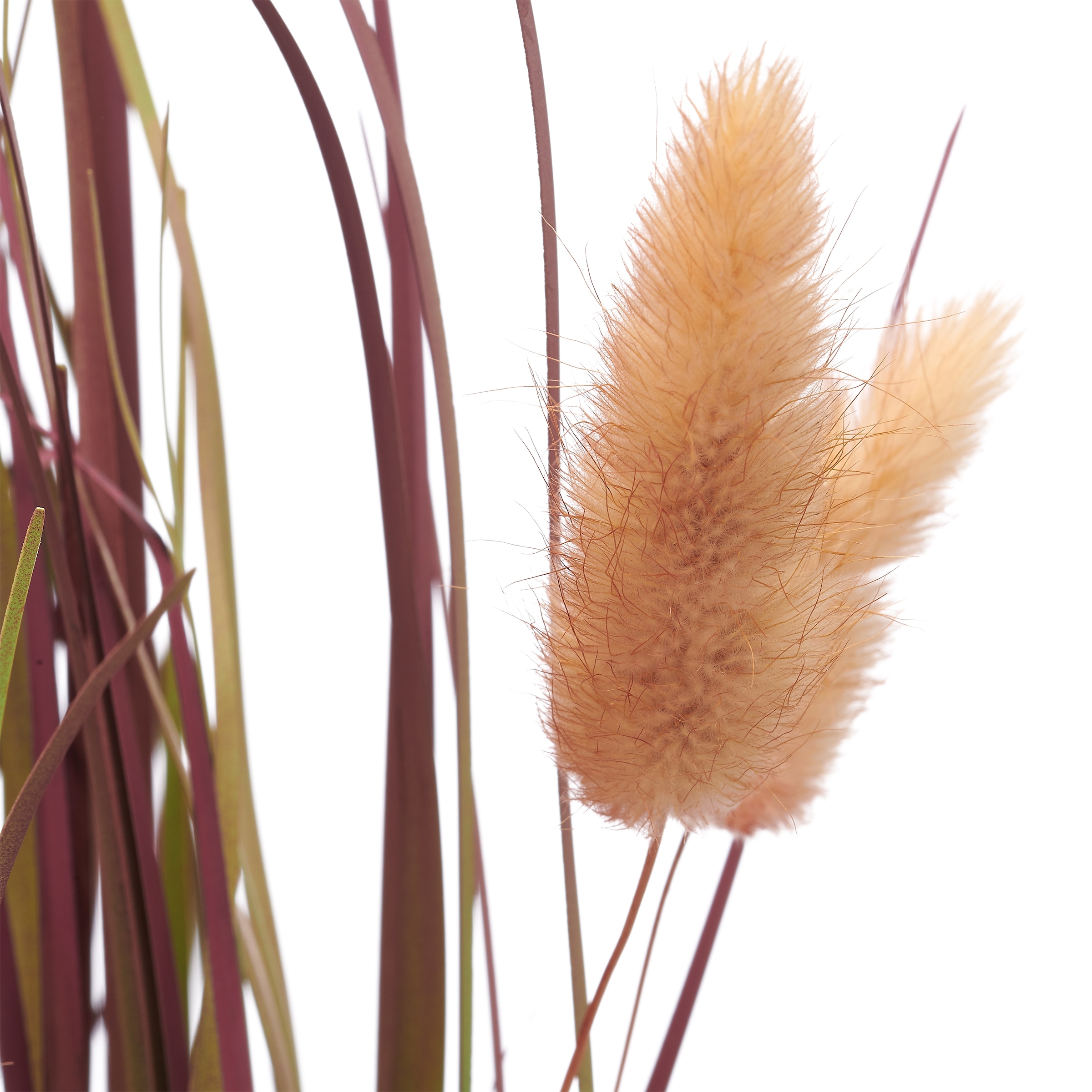 Creativ green Herbe artificielle »Grasbusch Lagurus« mit zarten Blüten