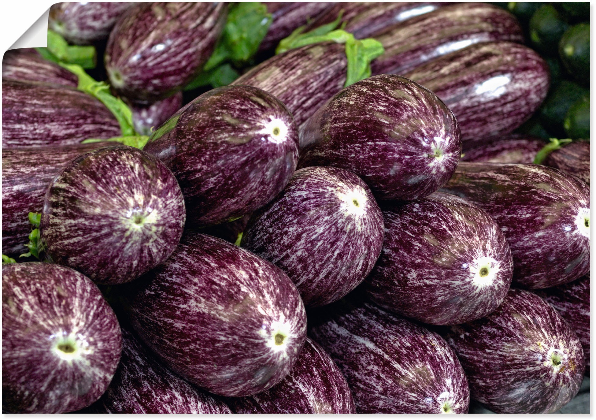 Image of Artland Wandbild »Violette Auberginen vom Markt«, Speisen, (1 St.), in vielen Grössen & Produktarten - Alubild / Outdoorbild für den Aussenbereich, Leinwandbild, Poster, Wandaufkleber / Wandtattoo auch für Badezimmer geeignet bei Ackermann Versand Schweiz