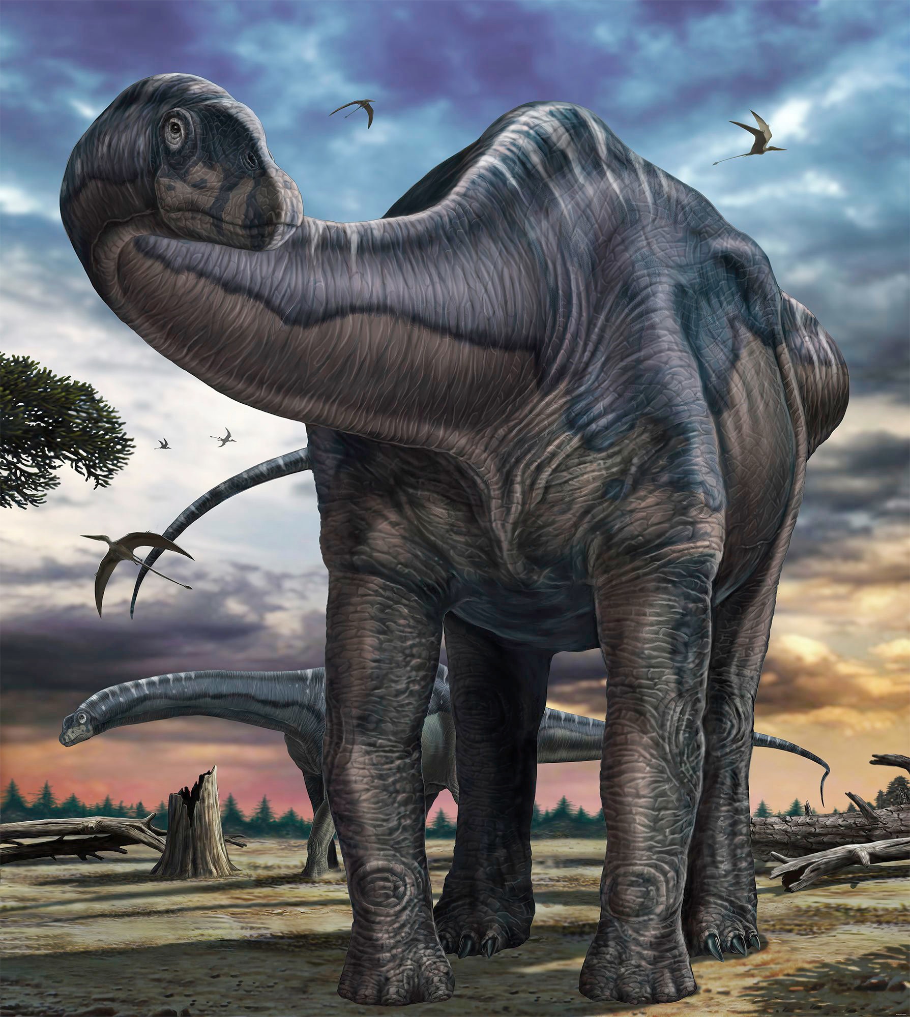 Image of Komar Fototapete »Argentinosaurus«, bedruckt-Comic-Retro-mehrfarbig, BxH: 250x280 cm bei Ackermann Versand Schweiz