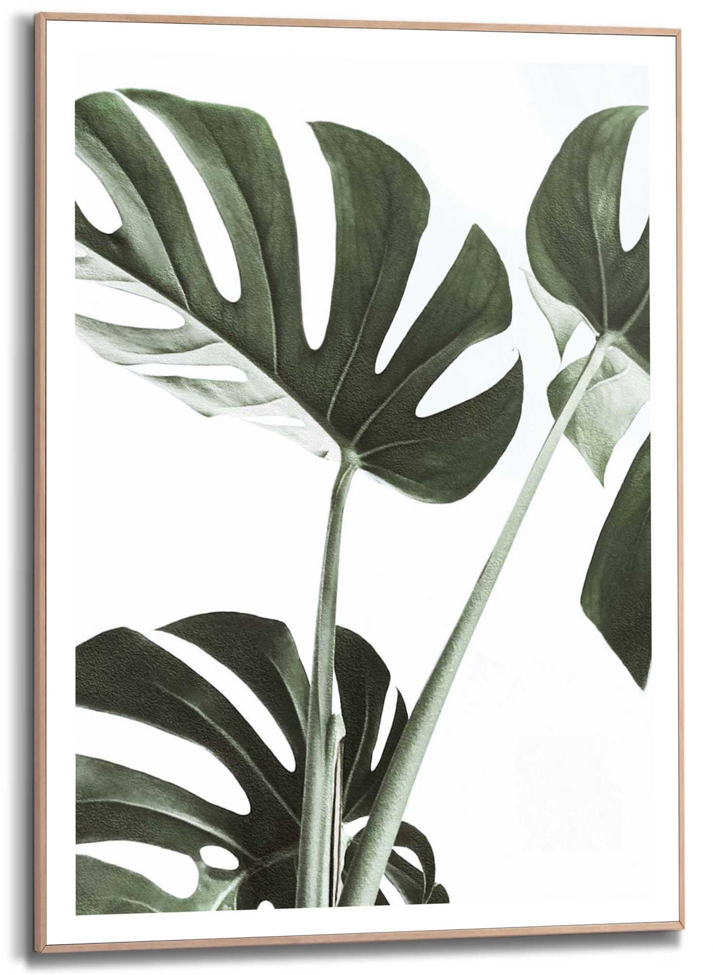 Image of Reinders! Kunstdruck »Monstera« bei Ackermann Versand Schweiz