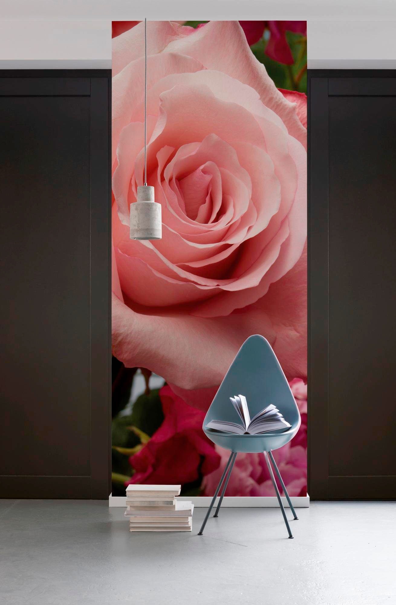 Komar Papier peint intissé »Digitaldruck Vlies -  Rosenduft - Grösse 100 x 280 cm« imprimé Wohnzimmer, Schlafzimmer