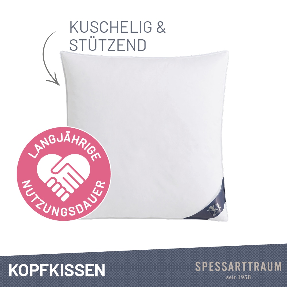 SPESSARTTRAUM Daunenkissen »FIRST CLASS, Kopfkissen 1-tlg. oder  2-tlg. 40x80 oder 80x80 cm« Füllung: 90% Daunen, 10%Federn 1 Stk. tlg. hergestellt in Deutschland, allergikerfreundlich, im Set günstiger